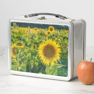 Goldenes Sonnenblumenfeld Metall Brotdose