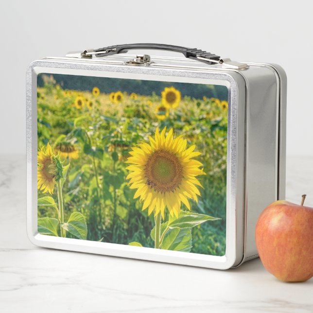 Goldenes Sonnenblumenfeld Metall Brotdose (Beispiel)