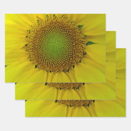 Goldenes Sonnenblumenverhältnis Geschenkpapier Set