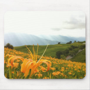 Goldenes Taglilie-Blume Tal Mousepad