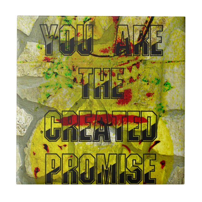 Goldenes Versprechen: Das goldene Drehbuch des Sch Fliese (Vorderseite)