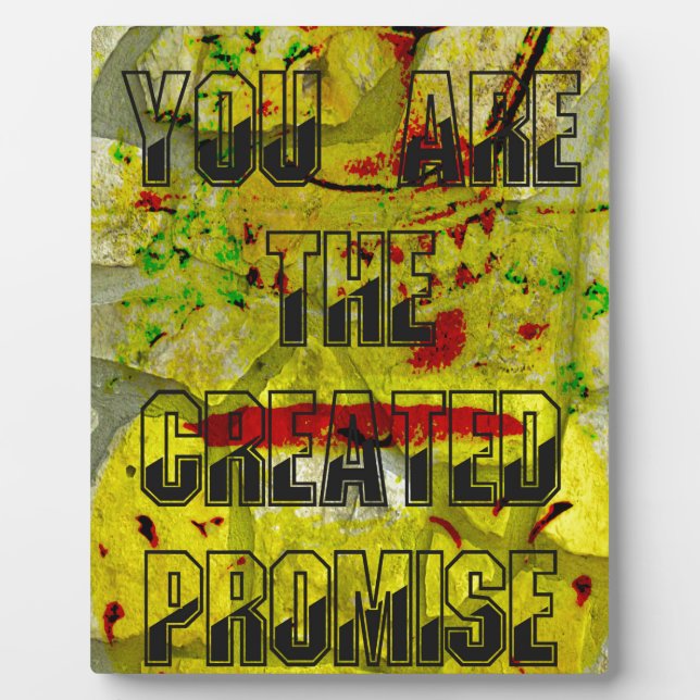 Goldenes Versprechen: Das goldene Drehbuch des Sch Fotoplatte (Vorderseite)