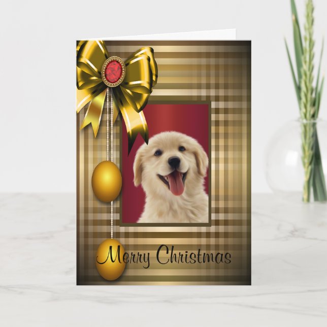 Goldenes Weihnachten Labradors Retiever (Vorderseite)