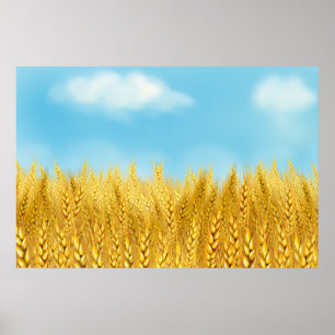 Goldenes Weizenfeld Blauer Himmel Ölgemälde Sommer Poster