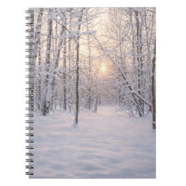 Goldenes Winterlicht Notizblock