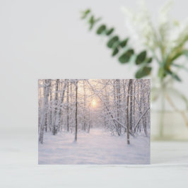 Goldenes Winterlicht Postkarte