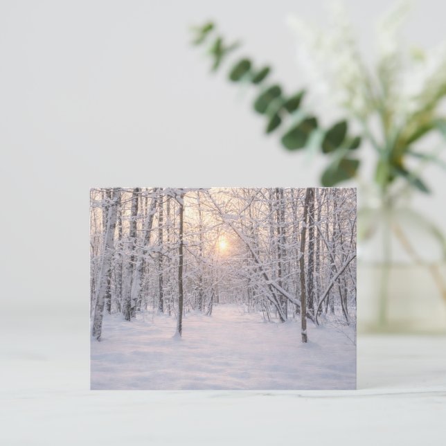 Goldenes Winterlicht Postkarte (Stehend Vorderseite)