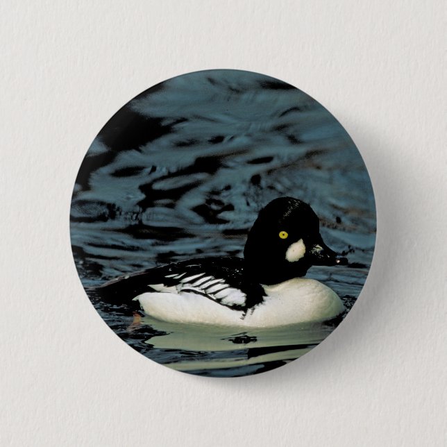 Goldeneye-Ente Button (Vorderseite)