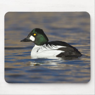 Goldeneye-Ente Mousepad