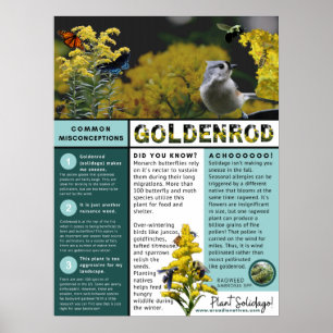 Goldenrod falsche Vorstellungen und Fakten Blue Th Poster
