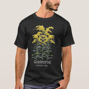 Goldenrod Solidago Wildblume und Pollinatoren T-Shirt