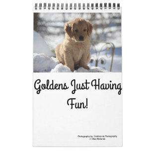Goldens, das gerade Spaß hat Kalender