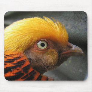 Goldfasan-Mauspad Mousepad
