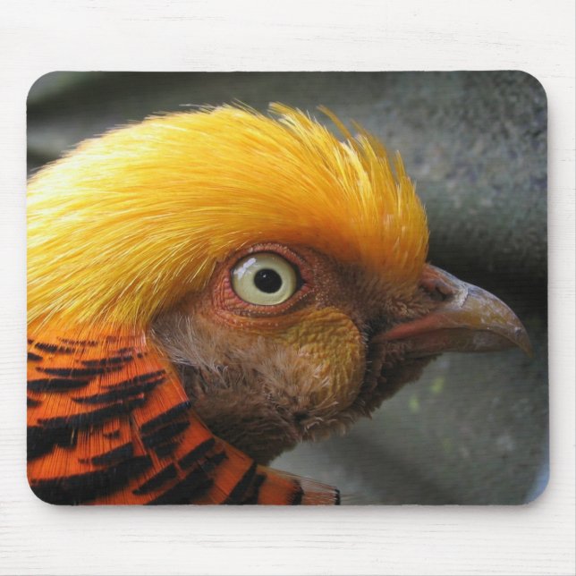 Goldfasan-Mauspad Mousepad (Vorne)