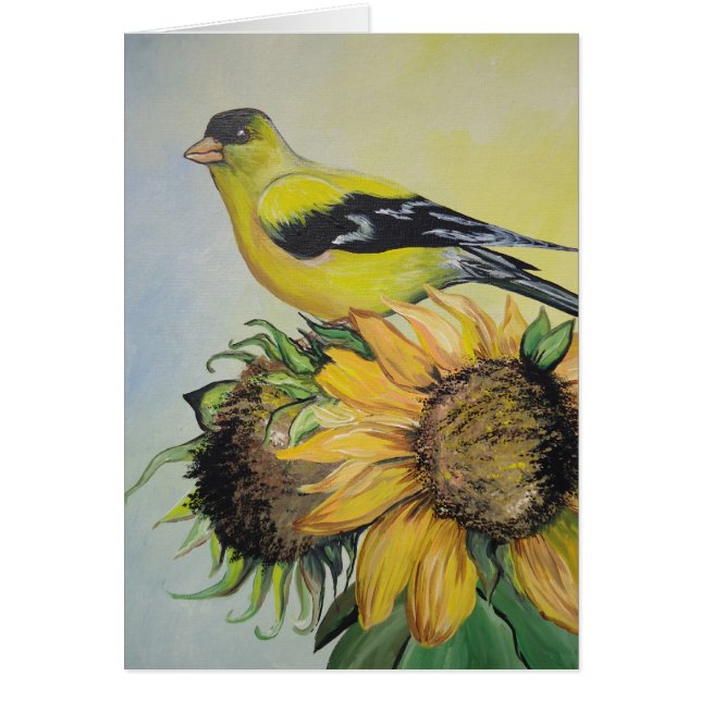 Goldfinch (Vorne)