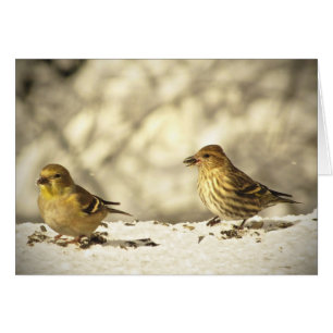 Goldfinch and Pine Siskin Blank Card