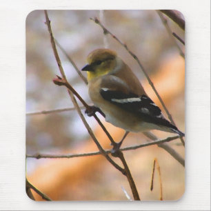 Goldfinch-Aquarell Mousepad