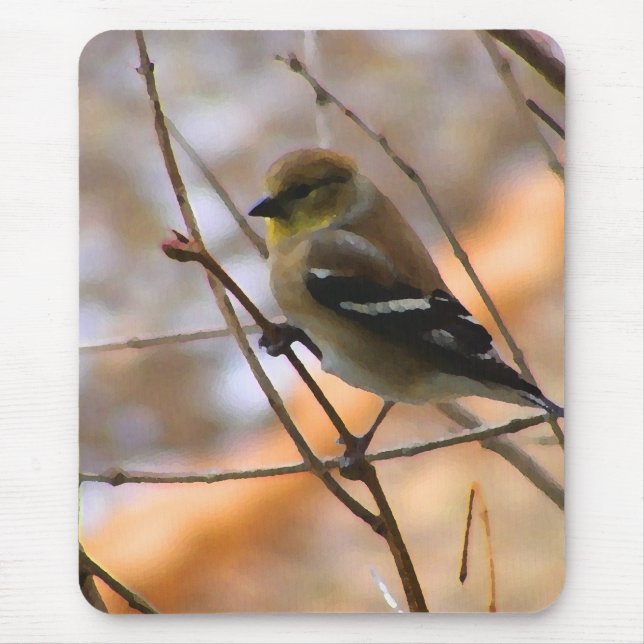Goldfinch-Aquarell Mousepad (Vorne)