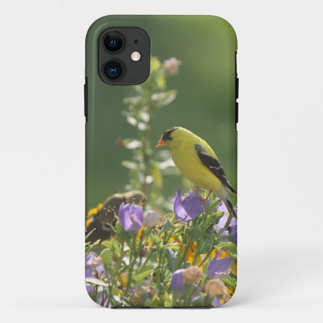 Goldfinch auf einer Harebell-Blume Case-Mate iPhone Hülle (Rückseite)