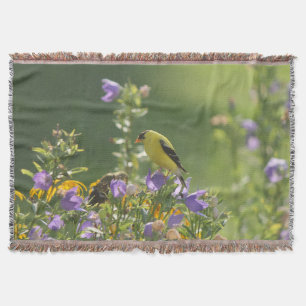 Goldfinch auf einer Harebell-Blume Decke
