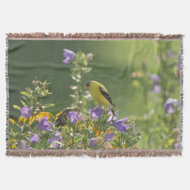Goldfinch auf einer Harebell-Blume Decke (Vorderseite)