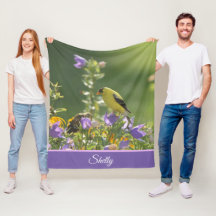 Goldfinch auf einer Harebell-Blume