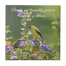 Goldfinch auf einer Harebell-Blume Fliese