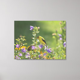 Goldfinch auf einer Harebell-Blume Leinwanddruck