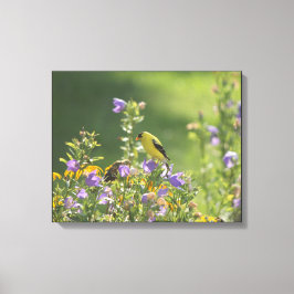 Goldfinch auf einer Harebell-Blume Leinwanddruck