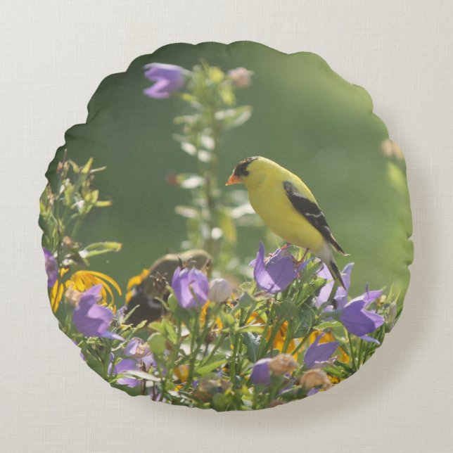 Goldfinch auf einer Harebell-Blume Rundes Kissen (Vorderseite)