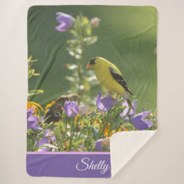 Goldfinch auf einer Harebell-Blume Sherpadecke