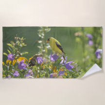 Goldfinch auf einer Harebell-Blume