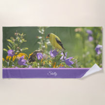 Goldfinch auf einer Harebell-Blume
