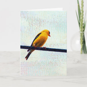 Goldfinch auf einer Power-Linie Karte