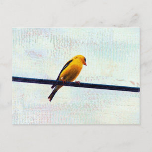 Goldfinch auf einer Power-Linie Postkarte
