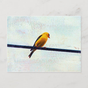 Goldfinch auf einer Power-Linie Postkarte