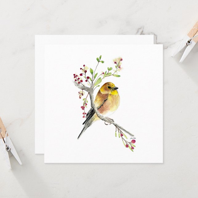 Goldfinch Beautiful Watercolor Mitteilungskarten (Beautiful Goldfinch Watercolor Blank Square Note Cards from Jenn Steffen Art)