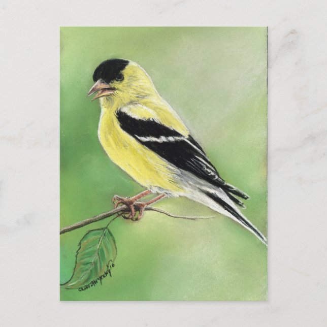 "Goldfinch" Bird Art Postkarte (Vorderseite)