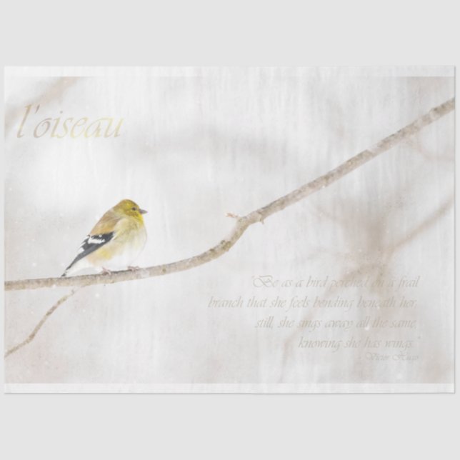Goldfinch Dekoupage Tissue Paper Seidenpapier (Vorderseite)