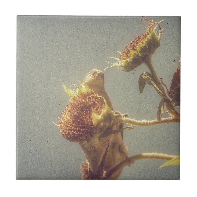 Goldfinch Fliese (Vorderseite)