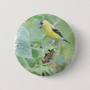 Goldfinch Grunge Button