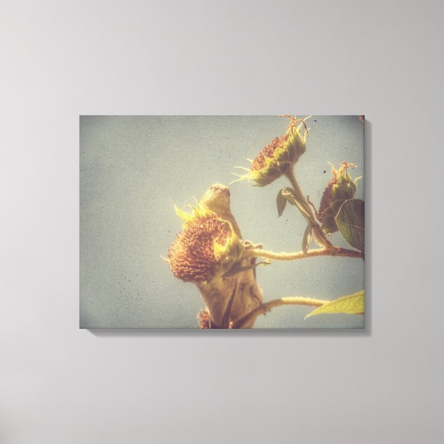 Goldfinch Grunge Leinwanddruck (Vorderseite)