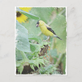 Goldfinch Grunge Postkarte