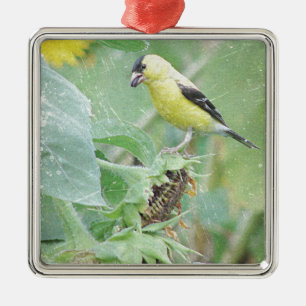 Goldfinch Grunge Silbernes Ornament