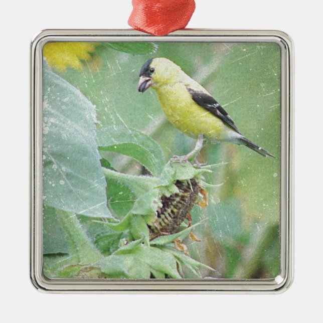Goldfinch Grunge Silbernes Ornament (Vorne)