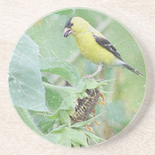 Goldfinch Grunge Untersetzer (Vorne)