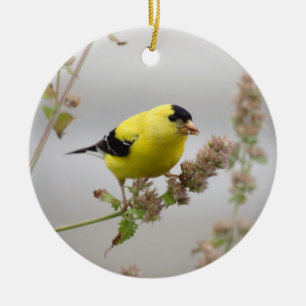Goldfinch hören keramik ornament