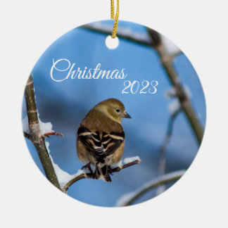 Goldfinch im Winter Foto Ornament