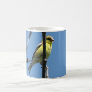 Goldfinch in einem Baum Tasse