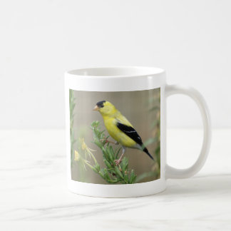 Goldfinch Kaffeetasse